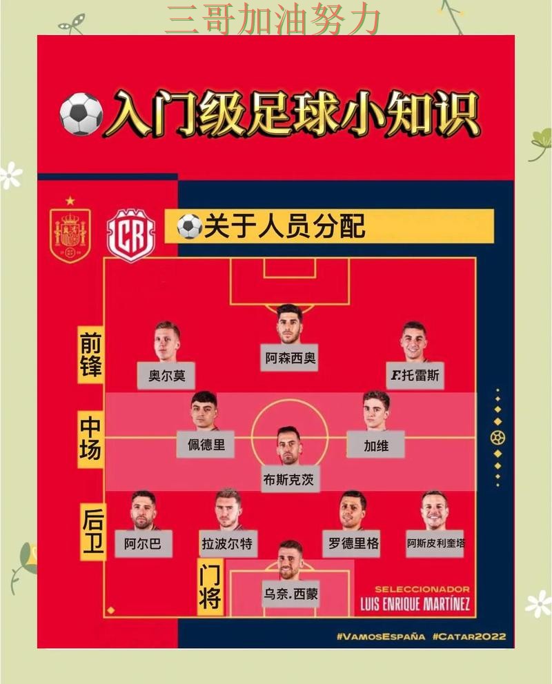 世界杯买球怎么选别乱选，使用指南给你答案（世界杯官方信息）